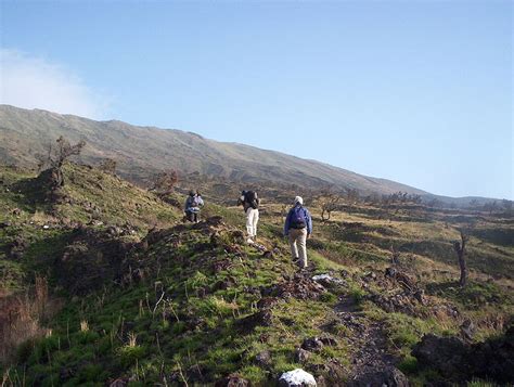 Mount Cameroon Trekking and Hiking Tour