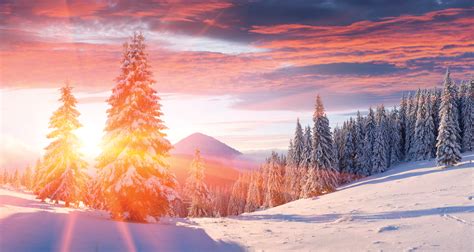 Winter Solstice: Facts and Folklore About The Longest Night of the Year