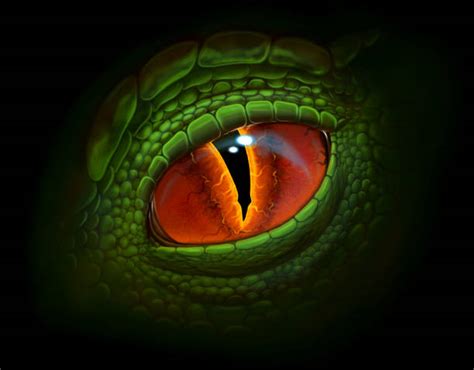 Reptile Eye Illustrations, Royalty-Free Vector Graphics & Clip Art - iStock