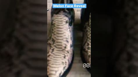 Melon Face Reveal #facereveal #foryou #fyp #viral @Sunny and Melon @Melon and Sunny #funny - YouTube