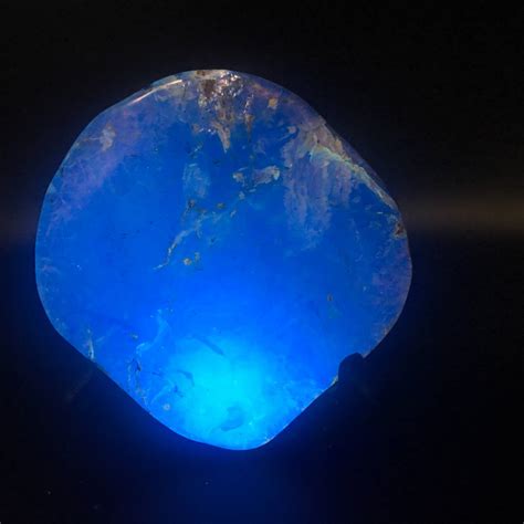 Dominican Blue Amber 4.58 oz Rough Specimen - Amber International