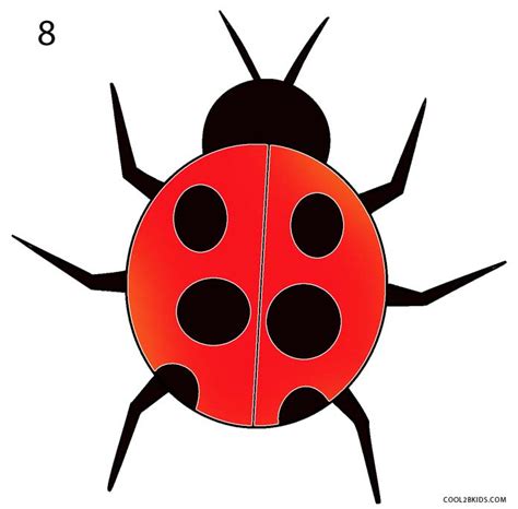 How to Draw a Ladybug (Step by Step Pictures) | Cool2bKids