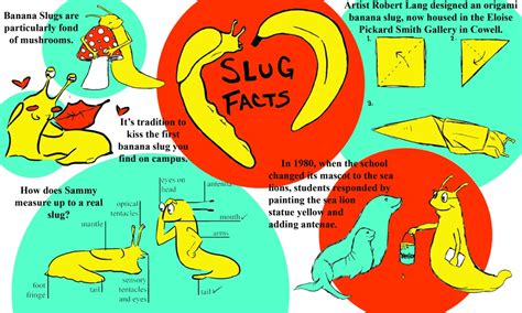 Slug Facts | City on a Hill Press