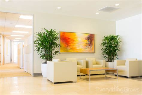 Interior Landscaping by Everything Grows Indoor Office Plants, Best ...