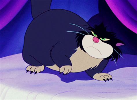 Lucifer (Cinderella) | Famous cartoons, Cartoon cat, Walt disney pictures