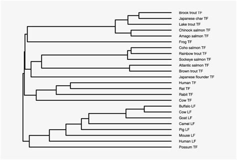 Phylogenetic Tree Of The 24tfs Constructed By Clustalw - Colorfulness - 663x476 PNG Download ...