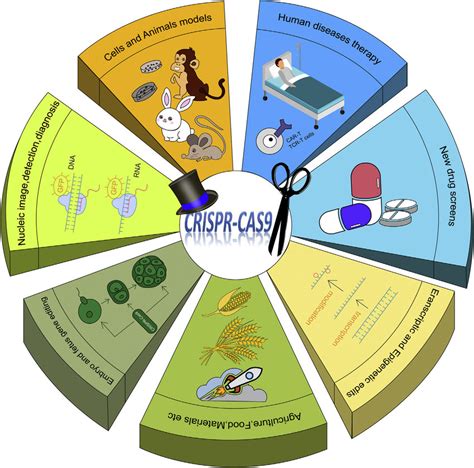 Applications of CRISPR-Cas9 Genomic Engineering As a genetic and... | Download Scientific Diagram