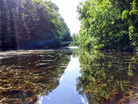 Amsterdamse Bos (park, lake, campsite) - Amsterdam, The Netherlands ...