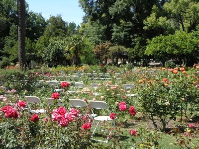 McKinley Park Rose Garden - Sacramento - LocalWiki