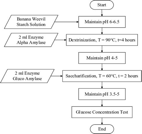 Starch Hydrolysis Stages | Download Scientific Diagram