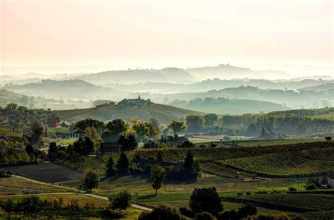 Monferrato wine production achieved new milestones - Drinks.ua