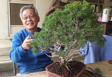 Picasso of Bonsai & an American Grafting Master – Stone Lantern