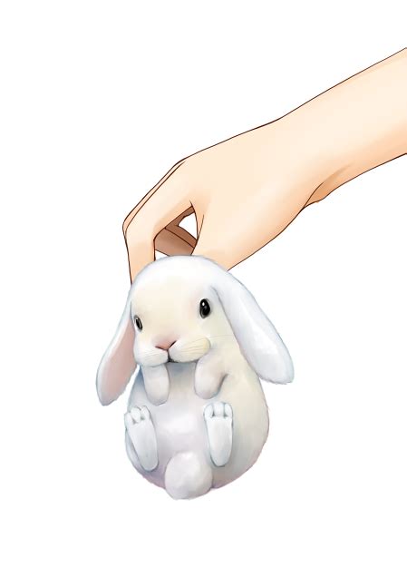 Bunny Rabbits Fan Art: ♫Bunnies♪ | Bunny drawing, Bunny art, Cute animal drawings