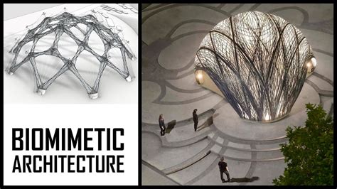 Biomimetic Architecture - YouTube