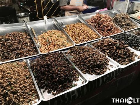 Thailand Insect Food: Eating Fried Insects in Thailand | THAI.LT