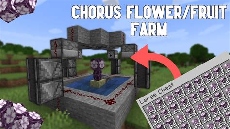 Minecraft Easy Chorus Flower and Chorus Fruit Farm - FULLY AFK - YouTube