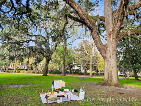 A Complete One-Day Itinerary for a Walking Tour of Savannah, Georgia ...