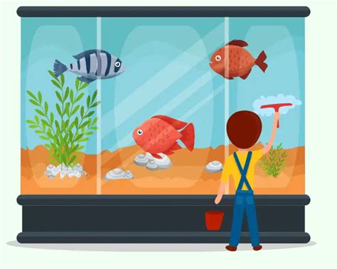 How to Keep a Fish Tank Clean without a Water Change