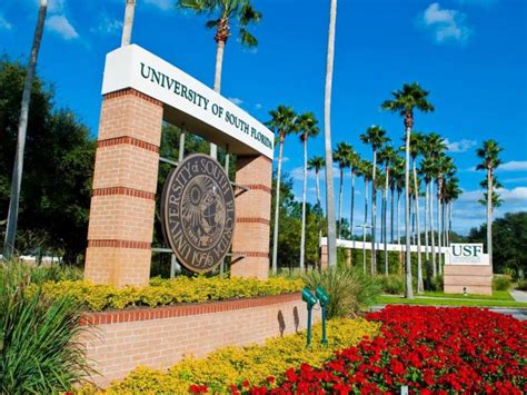 Top Colleges in Florida, According to Forbes' Latest Rankings | St. Pete, FL Patch