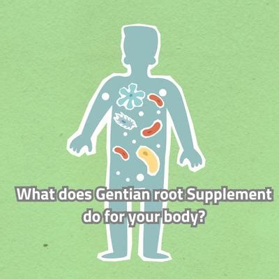 Gentian Root And Artichoke Supplements: Health Benefits, Side Effects ...