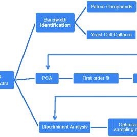 of procedures used for spectra analysis. For a detail explanation, see... | Download Scientific ...