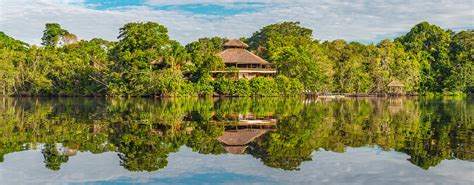 Amazon Jungle Lodges | Manu National Park | Tambopata Tours