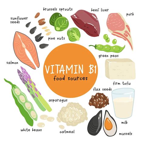 Premium Vector | Collection of vitamin b1 sources food containing ...