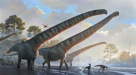 Sauropod Size Comparison