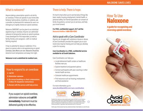 How to Use Naloxone Brochure | Avoid Opioid SD