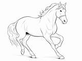Walking Horse Coloring Sheet  Page sketch template