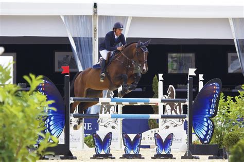 Free Images : person, jump, rider, competition, contest, equestrianism, physical exercise ...