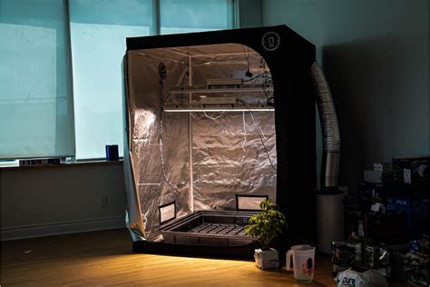 4x4 Grow Tent Yield - Charas Scientific