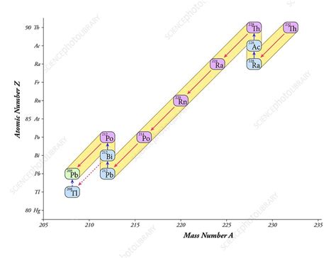 Nuclear decay chain, thorium series - Stock Image C015/2764 - Science ...