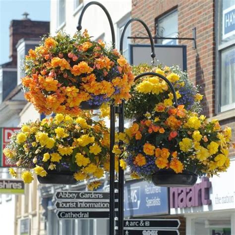 Commercial Hanging Baskets - In Bloom Supplier | Woolpit Nurseries - Family Run Plant Nursery