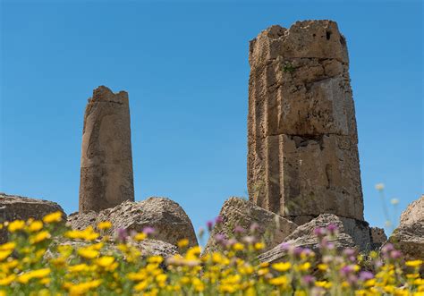 Selinunte Archeological Park - The Greek Wonders of Sicily