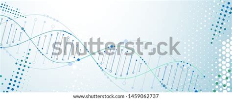 Science Template Wallpaper Banner Dna Molecules Stock Vector (Royalty Free) 1459062737 ...