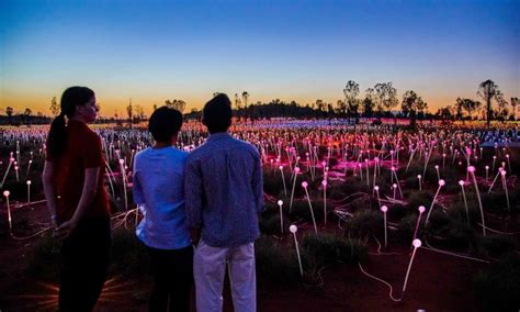 Field of Light Tickets -Uluru - Experience Australia | isango.com