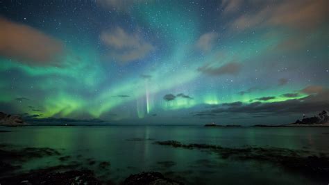 Green aurora borealis on the starry night sky wallpaper - backiee