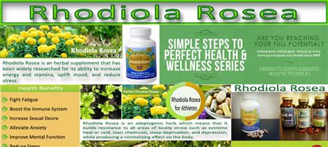 Rhodiola Rosea Side Effects - HRF