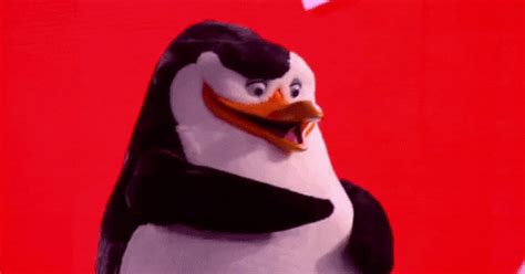 Penguin Animated Gif