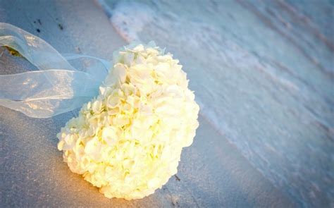 a bouquet of white flowers on the beach with a ribbon tied around it's neck