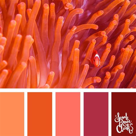 25 Color Palettes Inspired by Ocean Life and PANTONE Living Coral | Coral colour palette, Ocean ...