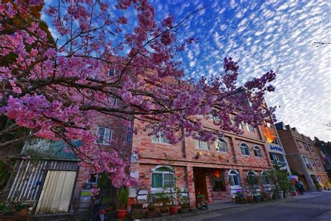 Chiayi - Discover Alishan And Many Other Beautiful Places To Visit