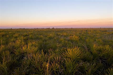 Night Sky Kissimmee Prairie Preserve — Josh Stansfield Photography