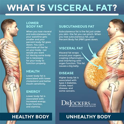 Asians with excess visceral fat tend to have poorer memory, learning ability: NTU study | Page 2 ...