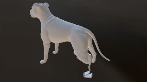 # 052 Back Leg Prosthetic Dog - Download Free 3D model by makerof3d [3e4e6ca] - Sketchfab