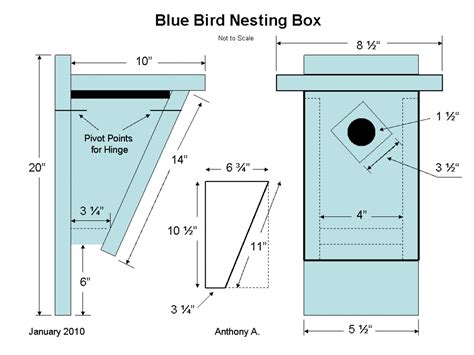 Birdhouse Ideas & Inspiration: 10 Different Birdhouse Plans and Designs | HubPages