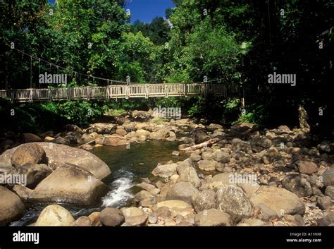 wooden suspension bridge, footbridge, Guadeloupe National Park, Parc ...