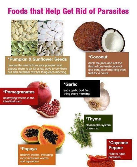 Foods that Help get rid of parasites 1.pomegranate 2. Thyme 3. Garlic 4. Cayenne pepper 5 ...