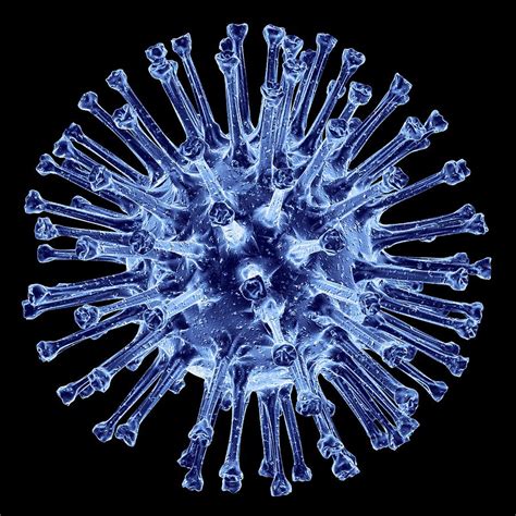 H1n1 Flu Virus Particle, Artwork Photograph by Pasieka